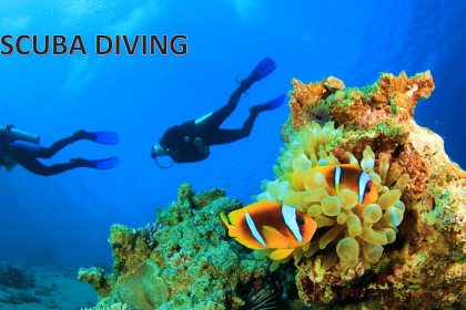  7 BEST PLACES FOR SCUBA DIVING & SNORKELING IN VIET NAM