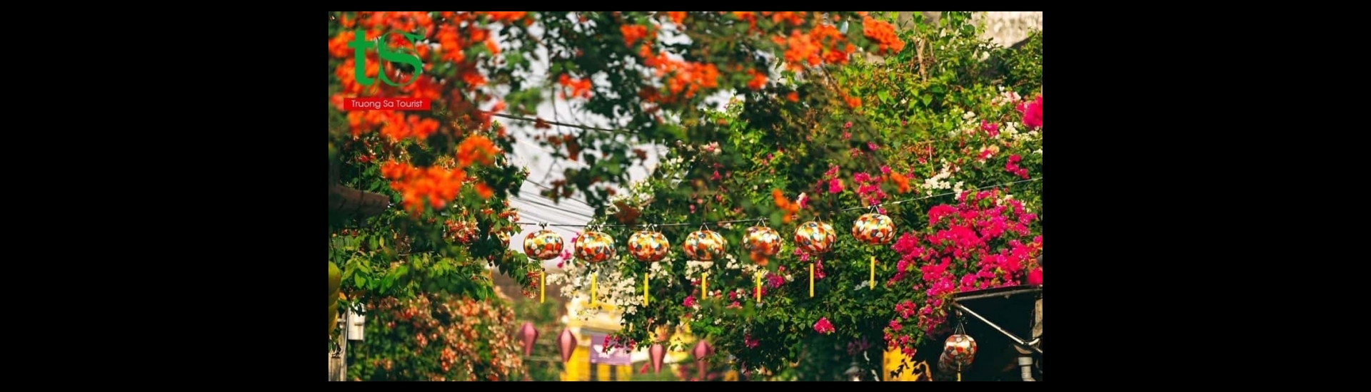 From Da Nang: 5 Days of Cultural Wonders, Scenic Beauty & Immersive Experiences in Central Vietnam