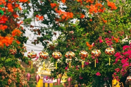 From Da Nang: 5 Days of Cultural Wonders, Scenic Beauty & Immersive Experiences in Central Vietnam