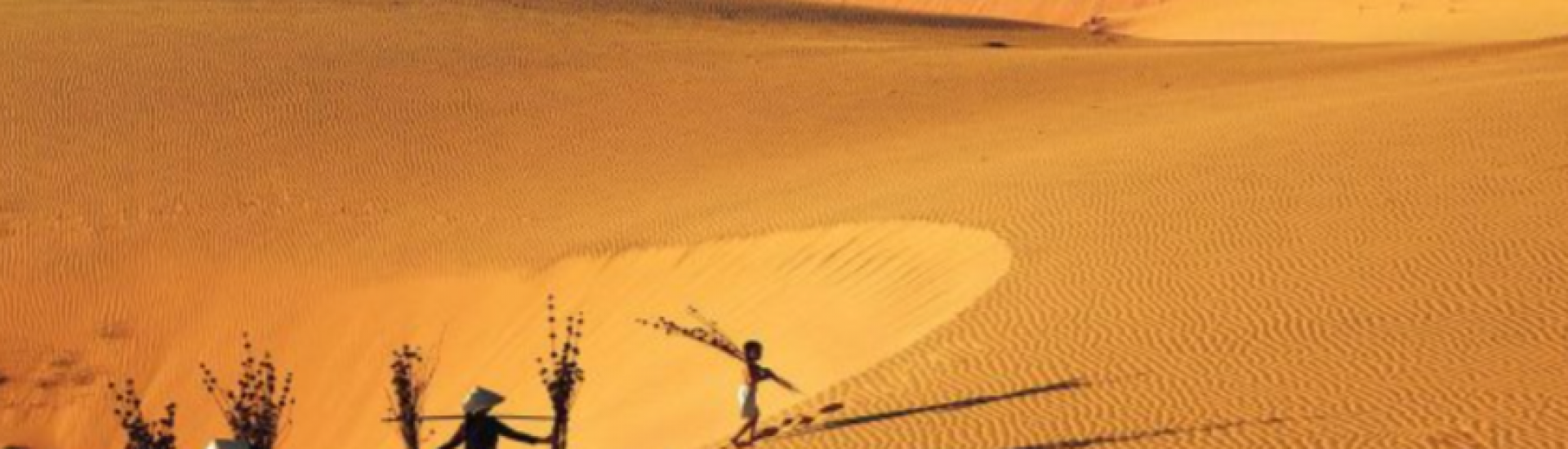 MEKONG DELTA MEETS COASTAL SANDS