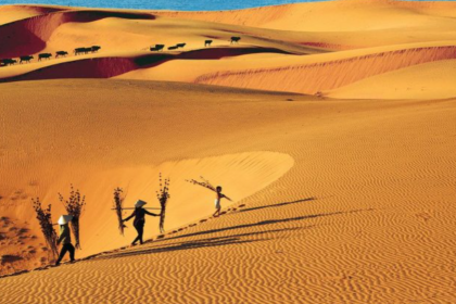 MEKONG DELTA MEETS COASTAL SANDS