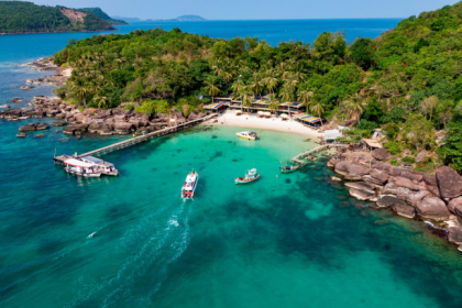 SAIGON ENERGY & PEARL ISLAND PARADISE