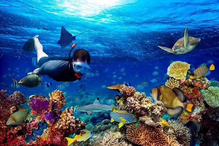 nha-trang-scuba-diving