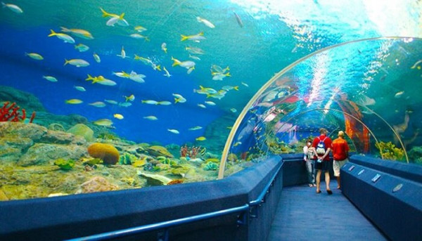 nha-trang-oceanographic-institute