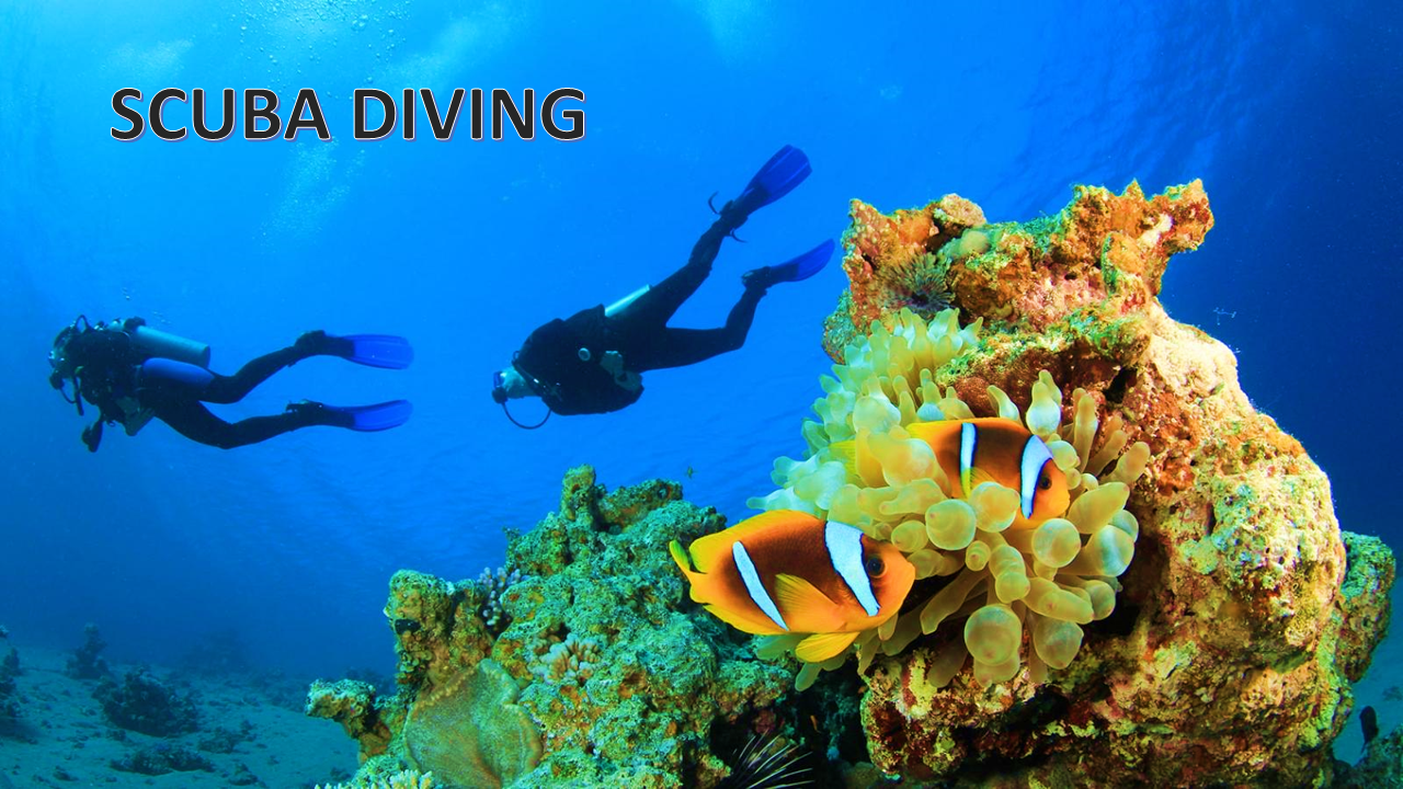 7 BEST PLACES FOR SCUBA DIVING & SNORKELING IN VIET NAM 7 BEST PLACES FOR SCUBA DIVING & SNORKELING IN VIET NAM