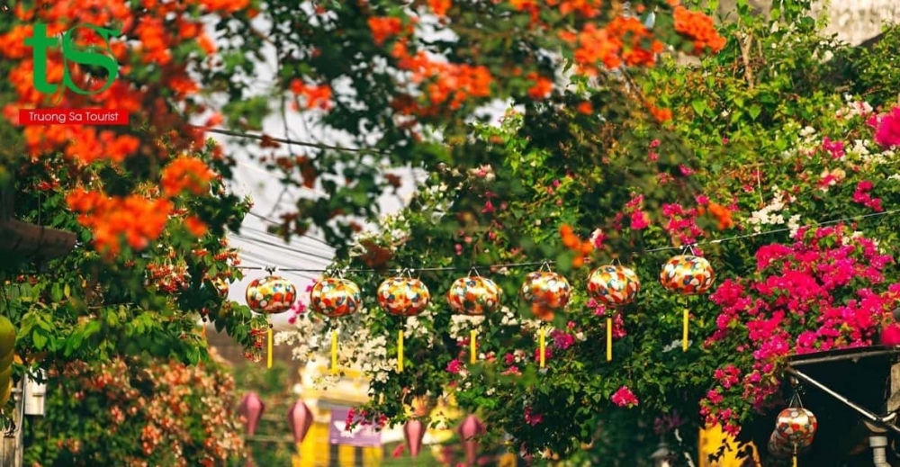 From Da Nang: 5 Days of Cultural Wonders, Scenic Beauty & Immersive Experiences in Central Vietnam From Da Nang: 5 Days of Cultural Wonders, Scenic Beauty & Immersive Experiences in Central Vietnam